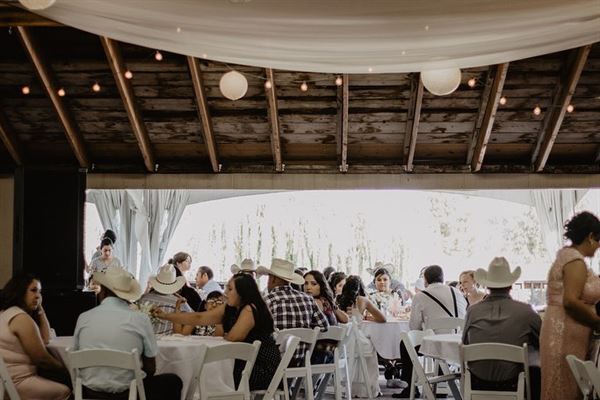 Spring Creek Homestead