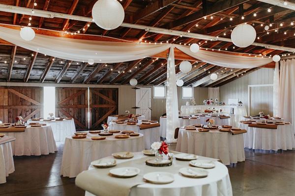 Spring Creek Homestead