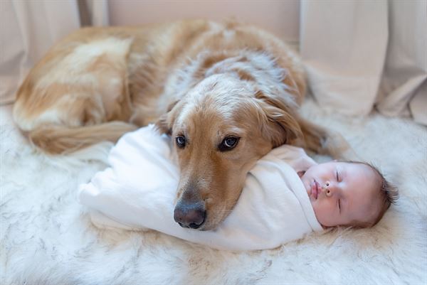 Maria Snider Photography