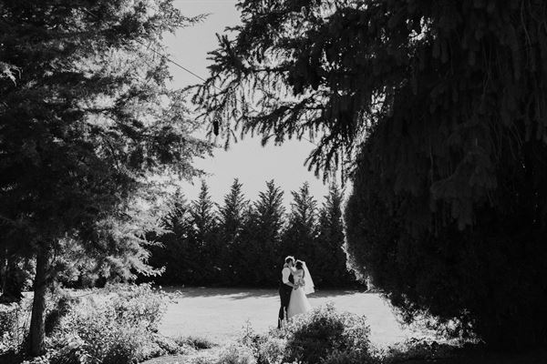 Spring Creek Homestead