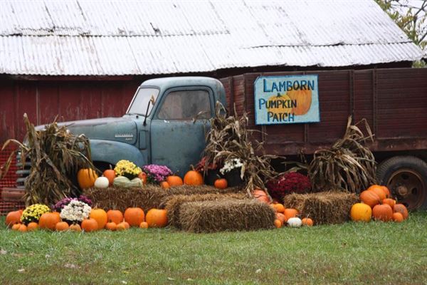 Lamborn Farms