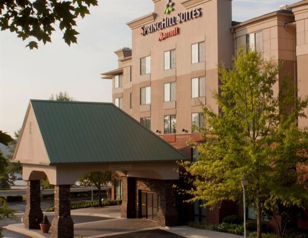 SpringHill Suites Atlanta Buford/Mall of Georgia