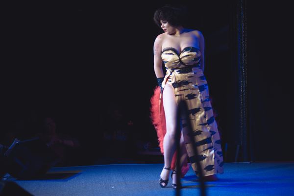 The Looking Glass Revue