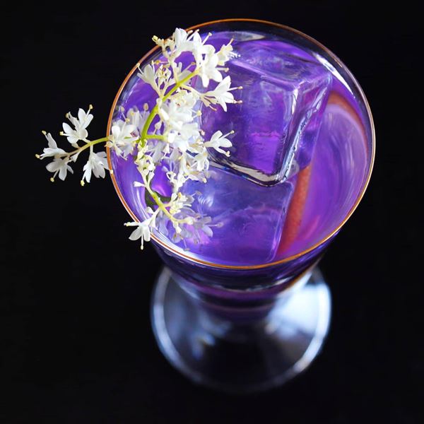 Preserving Harvest Catering