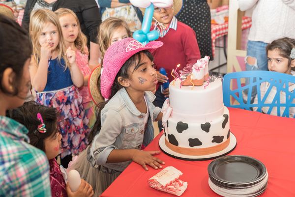 Matthew D'Alto Photography & Design