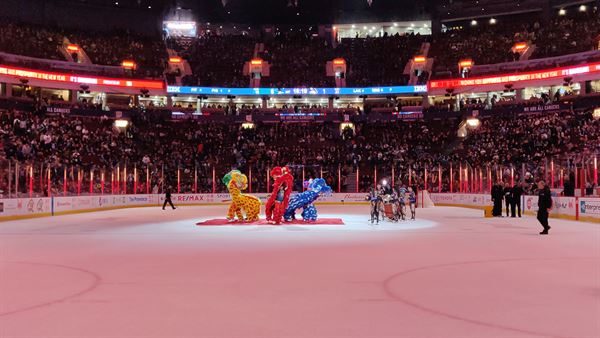Vancity Lion Dance