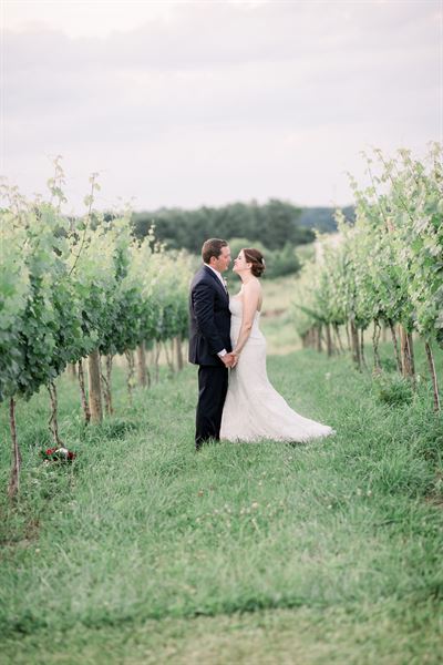 Barren Ridge Vineyards