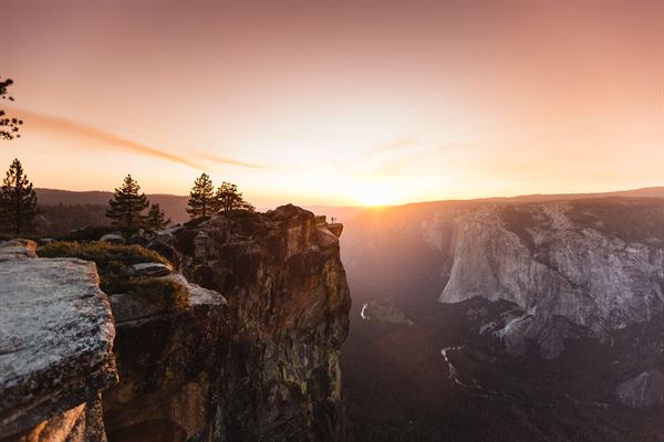 Love Wildly Photography