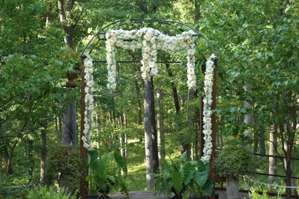 Alpine Park & Garden LLC