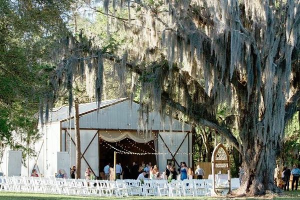 Iola Lakeside Events