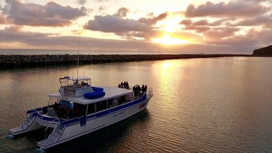 Dana Wharf Sportfishing & Whale Watching