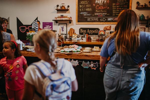Happy Cat Cafe