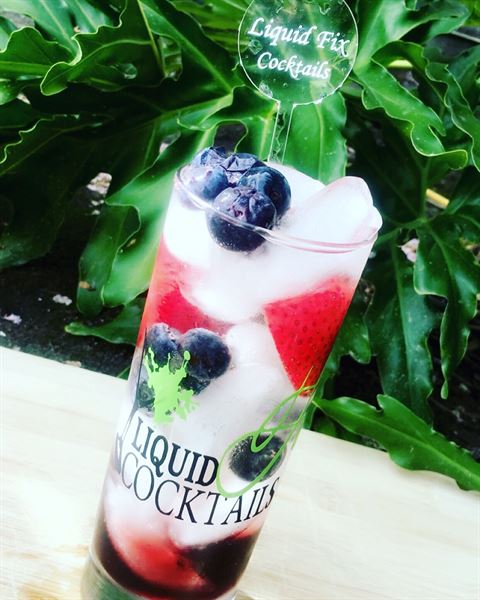 Liquid Fix Mobile Bar Service