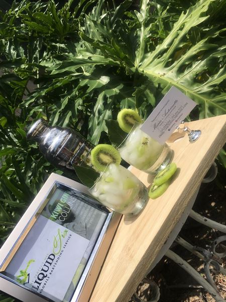 Liquid Fix Mobile Bar Service