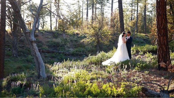 Cabins on Strawberry Hill