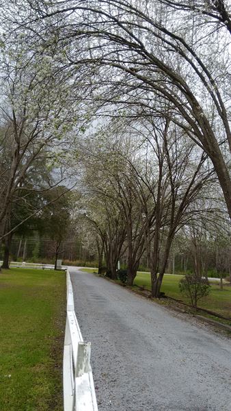 The Match Maker Center