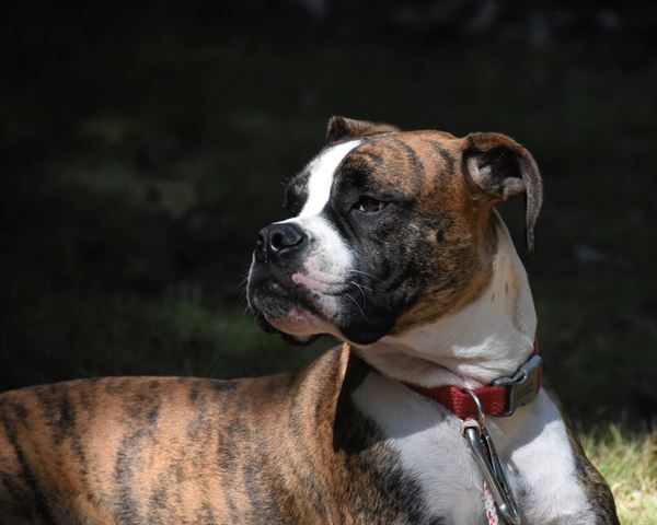 Thomas Sullivan Photography