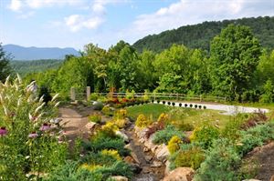 The Waterfall Garden
