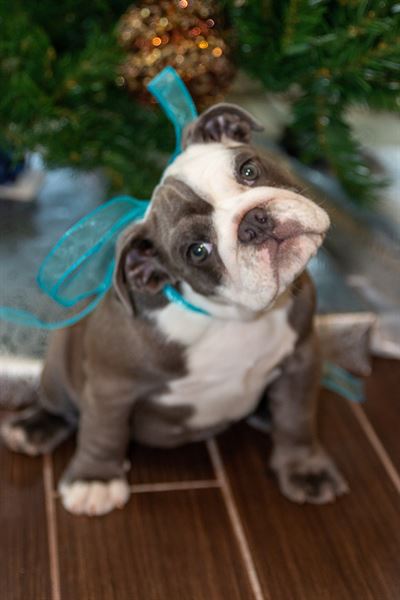 Deviant Lens Photography