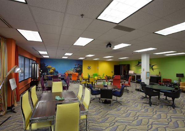 Blue Ocean Facilities