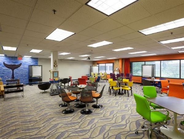 Blue Ocean Facilities