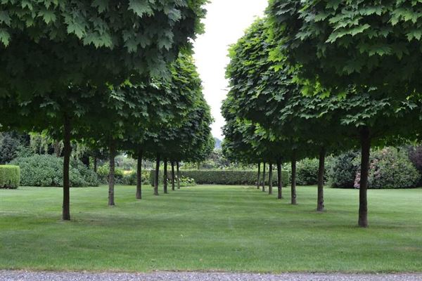 Hatzic Meadows wedding ceremony site
