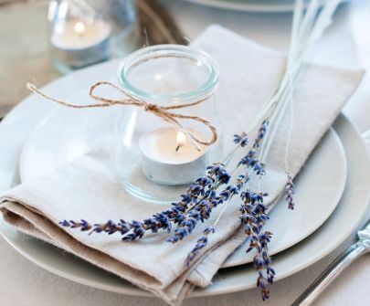 Party Rentals Hollywood