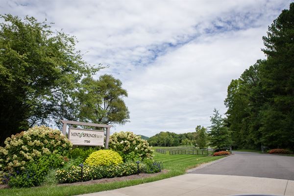 Mint Springs Farm