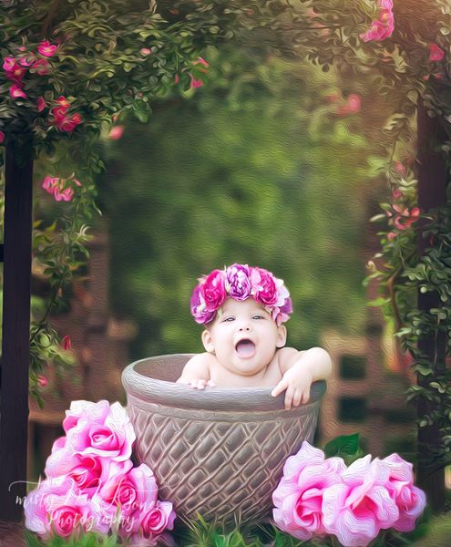 Misty Jones Photography