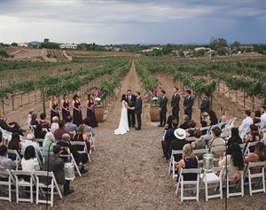 Vineyard Ceremony Site
