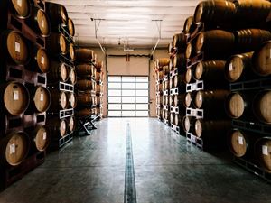 Wine Cellar