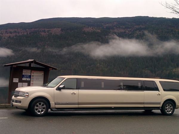 Destiny Limousine Ltd