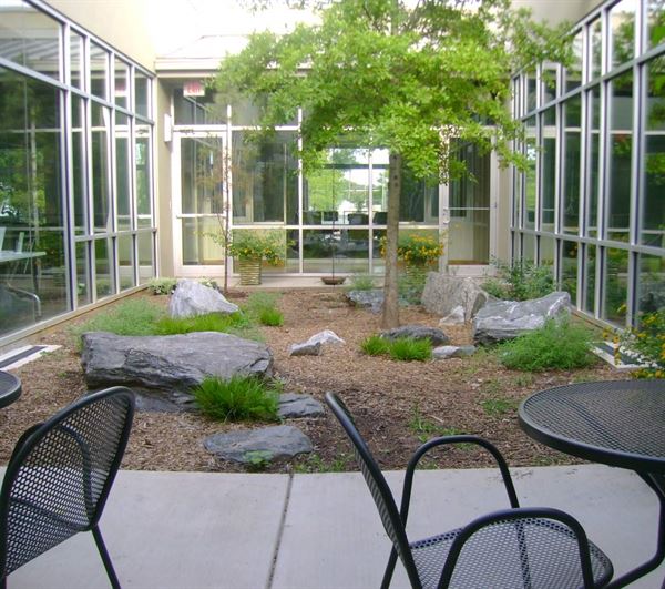 Trees Atlanta Kendeda Center