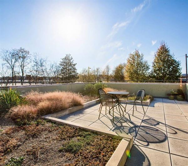 Trees Atlanta Kendeda Center