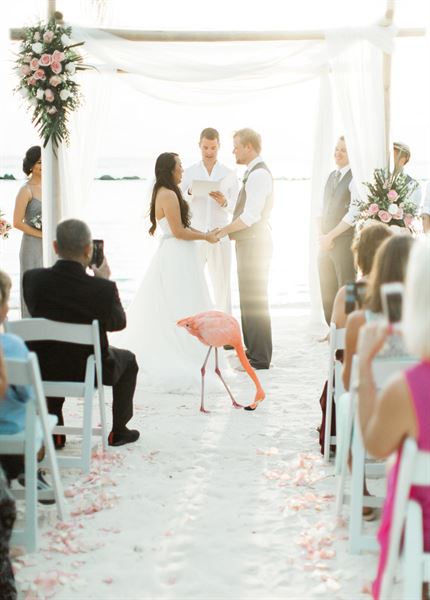 Meggie Francisco Events