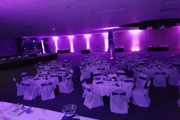 Rhino's Lighting & Sound