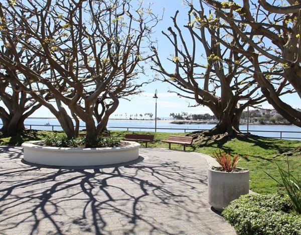 Cabrillo Marina's Plaza