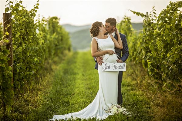 Brix and Columns Vineyards