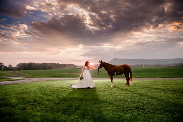 Brix and Columns Vineyards