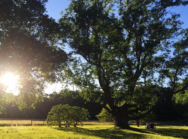 Stevens-Coolidge Place