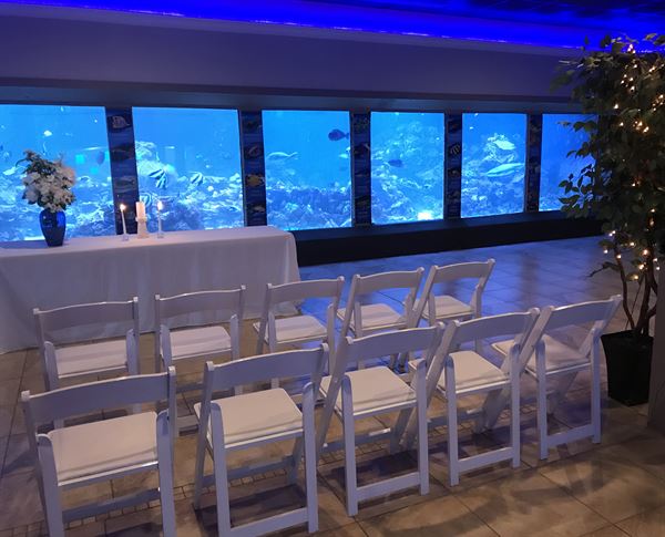 Gulfarium Marine Adventure Park