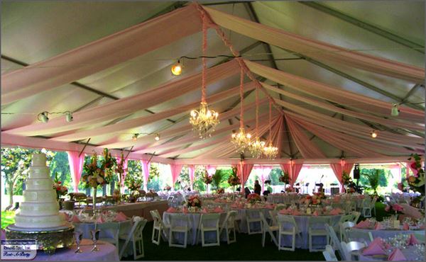 All Occasion party Rentals