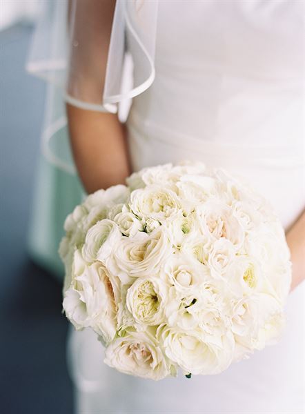 All Occasion party Rentals