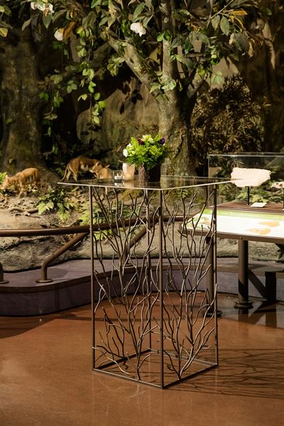 San Diego Natural History Museum