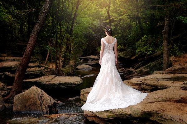 Amanda Elaine Photography