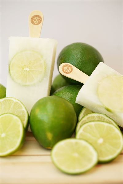 Gourmet Paletas Morelia Ice Cream