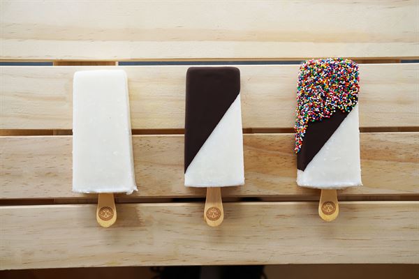 Gourmet Paletas Morelia Ice Cream