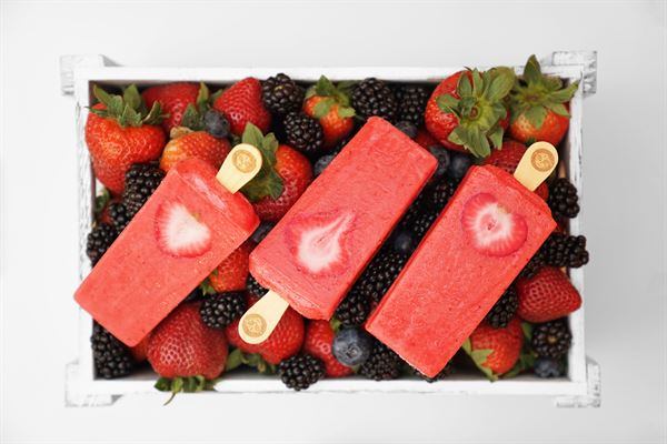 Gourmet Paletas Morelia Ice Cream