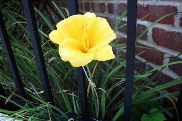 8-Tracks Photography