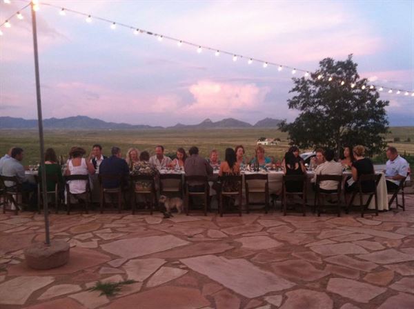 Arizona Hops and Vines